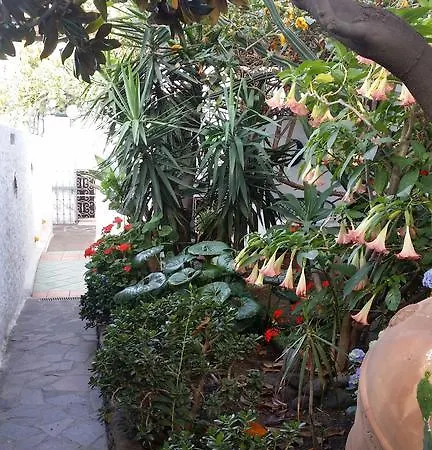 Aquilone Alojamento de Acomodação e Pequeno-almoço Stromboli