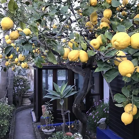 Bed & Breakfast Aquilone Stromboli