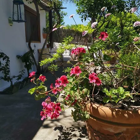 Aquilone Stromboli