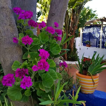 Bed & Breakfast Aquilone Stromboli