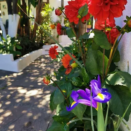 Aquilone Bed & Breakfast