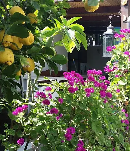 Aquilone Bed & Breakfast 3*