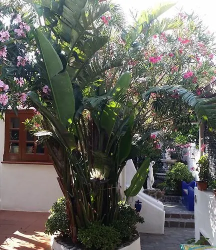 B&B Aquilone 4*