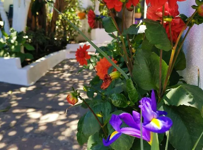 Aquilone B&B