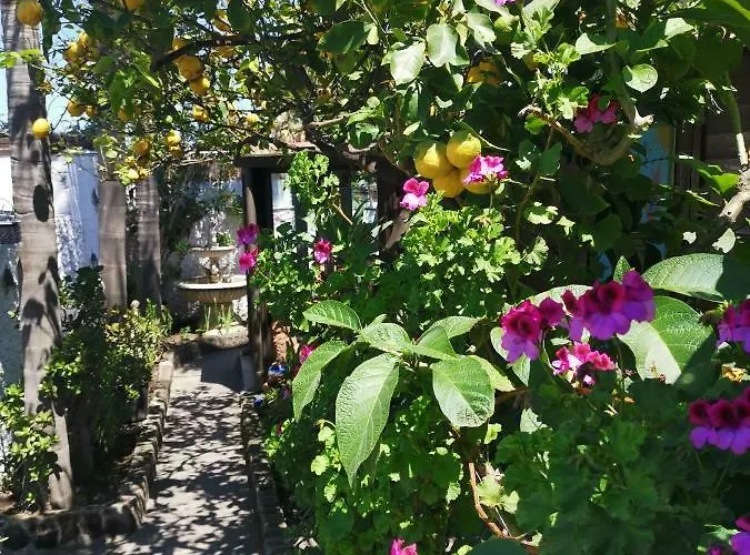 Aquilone B&B 4*